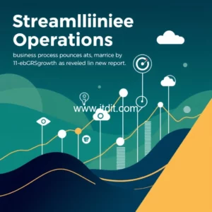 Read more about the article Streamlining Operations : The Rise of the Business Process  as  a  Service  BPaaS  Market Driven by 11  CAGR Growth As Revealed In New Report