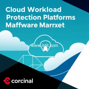 Artistic representation for Cloud Workload Protection Platforms Software Market : Key Developments and Future Trends in 2024 Cardinal Courier