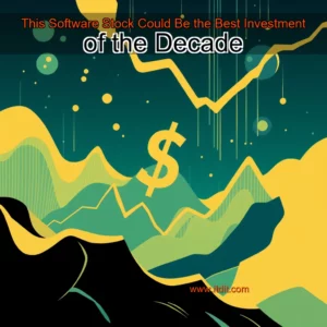 Read more about the article This Software Stock Could Be the Best Investment of the Decade