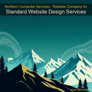 Read more about the article Northern Computer Services : Reliable Company for Standard Website Design Services