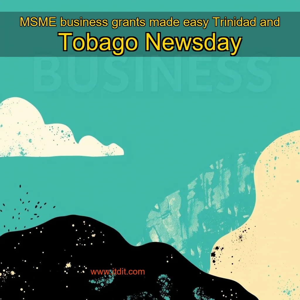 Read more about the article MSME business grants made easy  Trinidad and Tobago Newsday