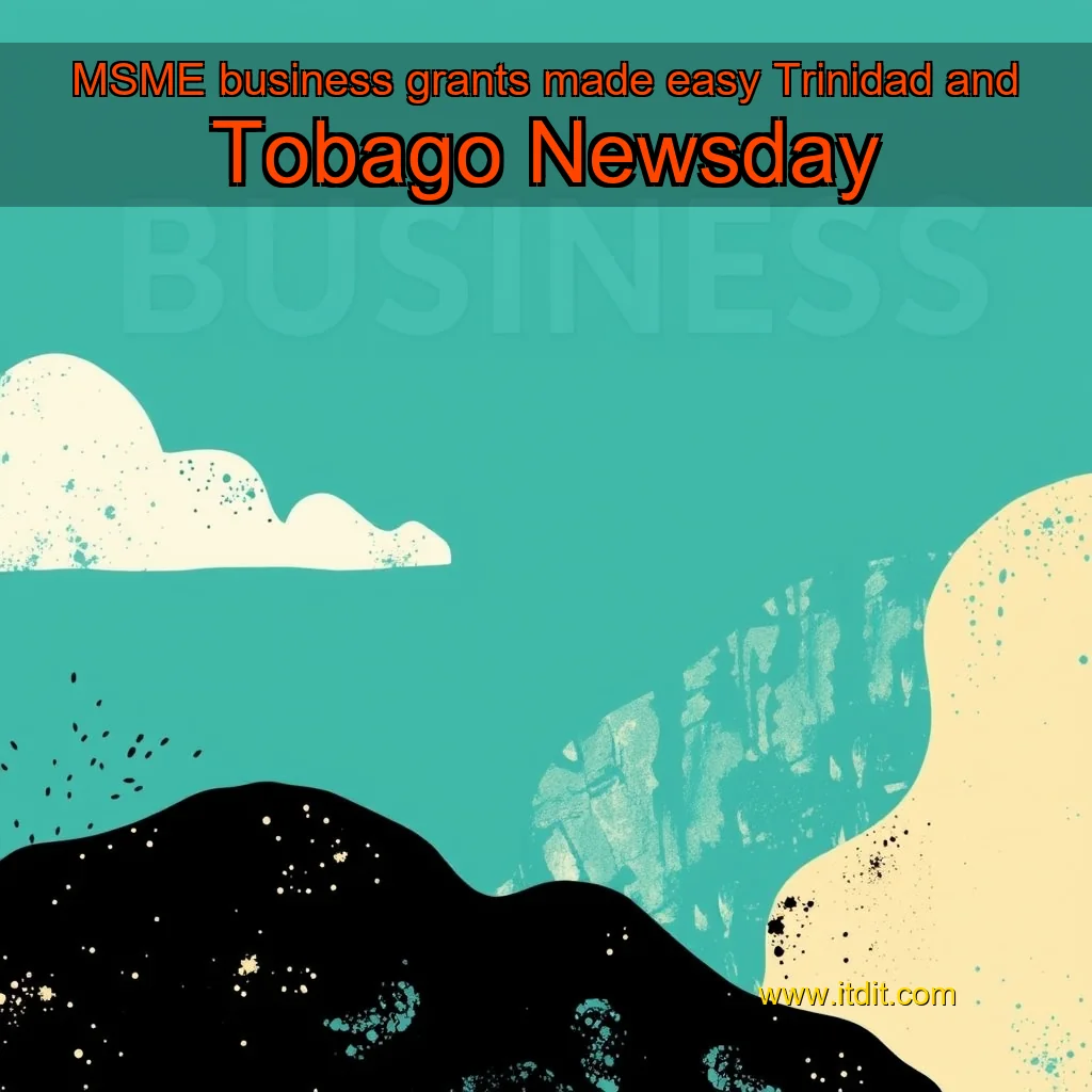 Read more about the article MSME business grants made easy  Trinidad and Tobago Newsday