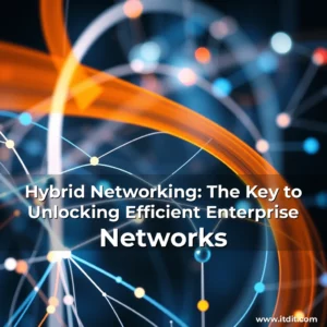 Read more about the article Hybrid Networking: The Key to Unlocking Efficient Enterprise Networks