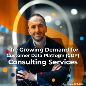 Read more about the article The Growing Demand for Customer Data Platform (CDP) Consulting Services